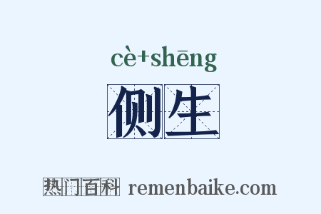 侧生是什么意思的图片